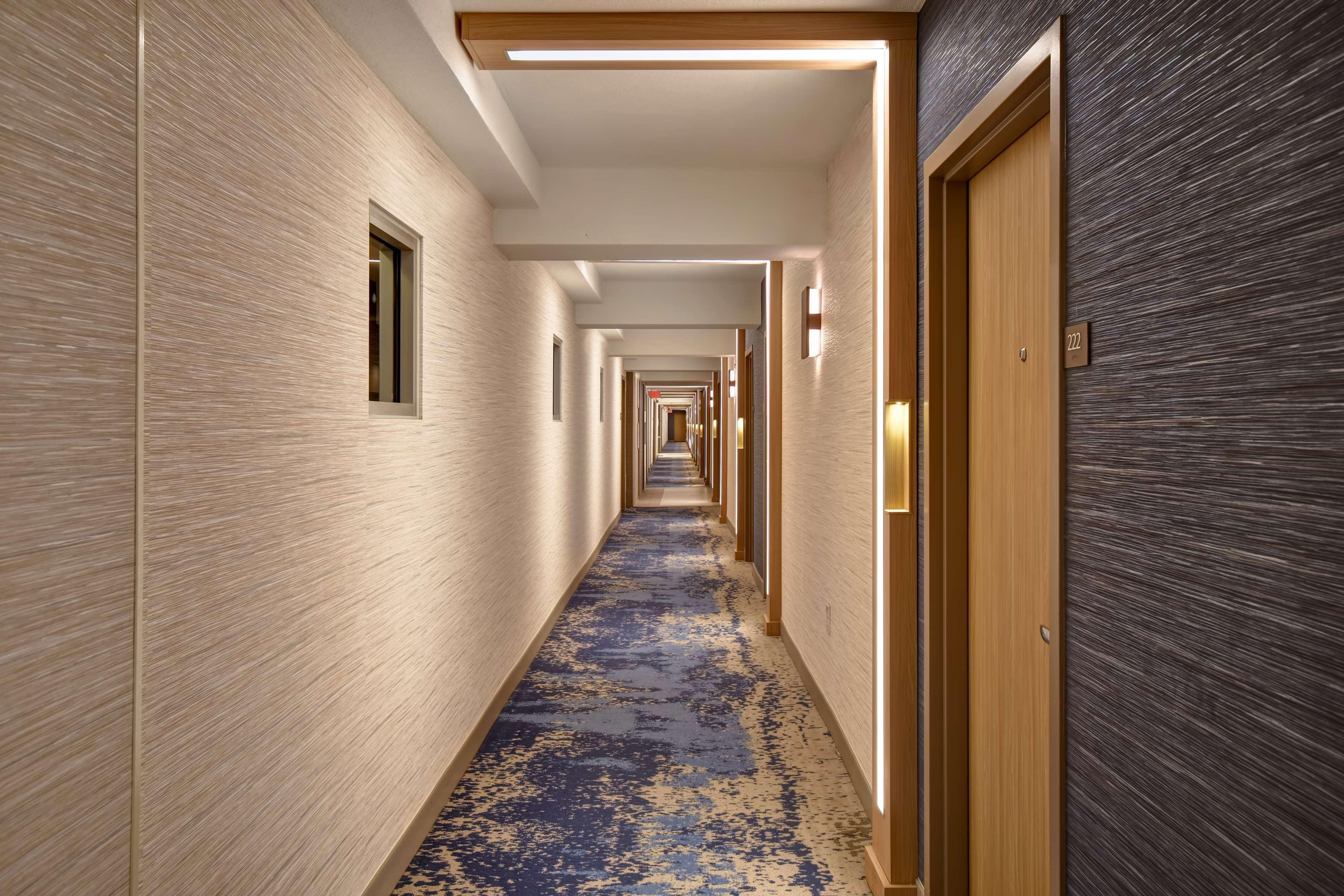 Doubletree By Hilton Oceanfront Virginia Beach Eksteriør billede